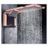 Ducha e Chuveiro Acqua Duo Ultra 220 V 7800 W Black e Rose Gold 7510127 Lorenzetti