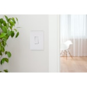 Interruptor Bipolar 10 A 250 V Liz Branco 57115/004 Tramontina