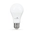 Lampada Led Bulbo A60 Smart 7w Rgb 500 Lumens Bivolt 9820 - Gaya